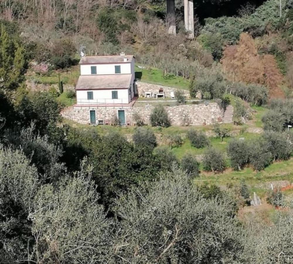 Villa Teca & Succo - Nature E Relax Sestri Levante Dış mekan fotoğraf