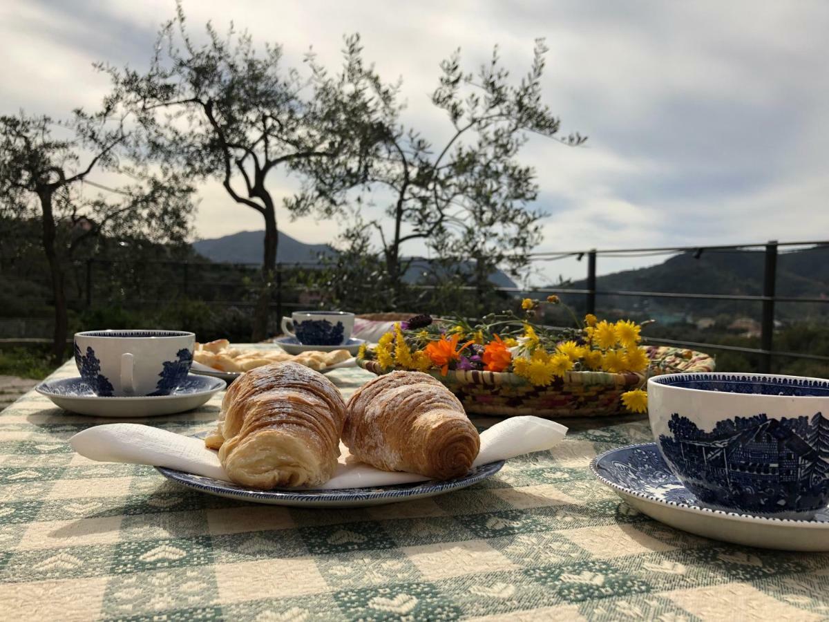 Villa Teca & Succo - Nature E Relax Sestri Levante Dış mekan fotoğraf
