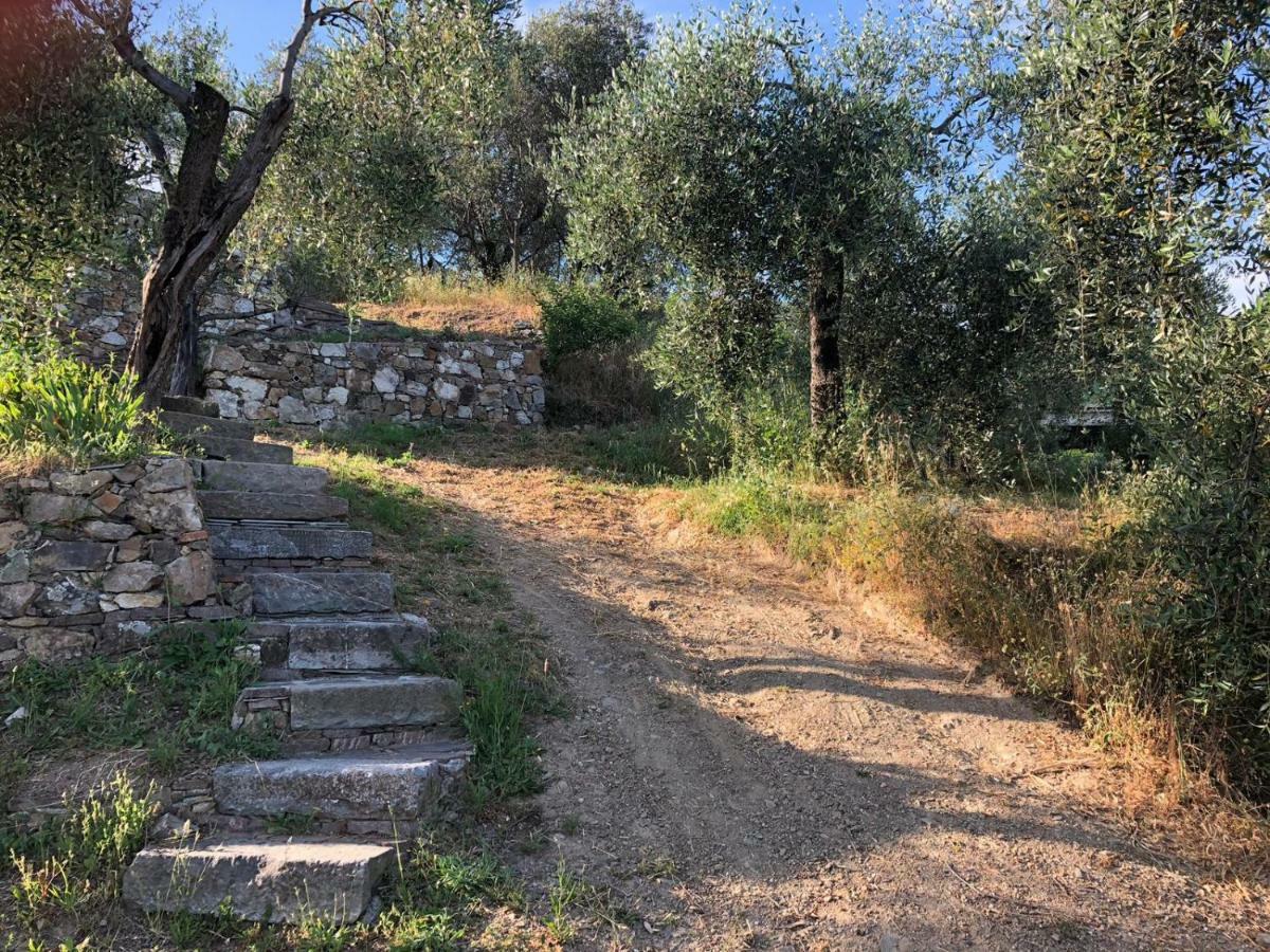 Villa Teca & Succo - Nature E Relax Sestri Levante Dış mekan fotoğraf